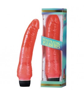 VIBRATOR DE GELATINA ROSA 20 CM.