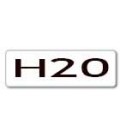 H20