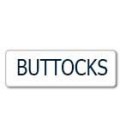 BUTTOCKS