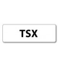 TSX